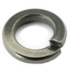 50NLOC3 - 1/2 in. 316 Stainless Steel Split Lock Washer