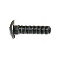 50C400BCGS - 1/4-20 x 4 in. Stianless Steel Carriage Bolt
