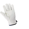 AC3200-11(2XL) - 2X-Large (11) White Cut and Hypodermic Needle Resistant Gloves