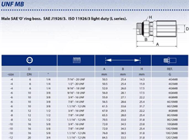 Gates MEGACRIMP G25 2 Port Hydraulic Hose Coupling, 1/2 in, 7/8-14 Crimp-On x 5/8 in Male SAE ORB, Low Carbon Steel